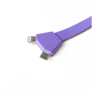 Sleutelhanger met Lightning en micro USB oplaadkabel